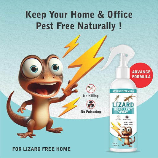 Lizard Repellent Spray (Pack of 2, 4, 6)